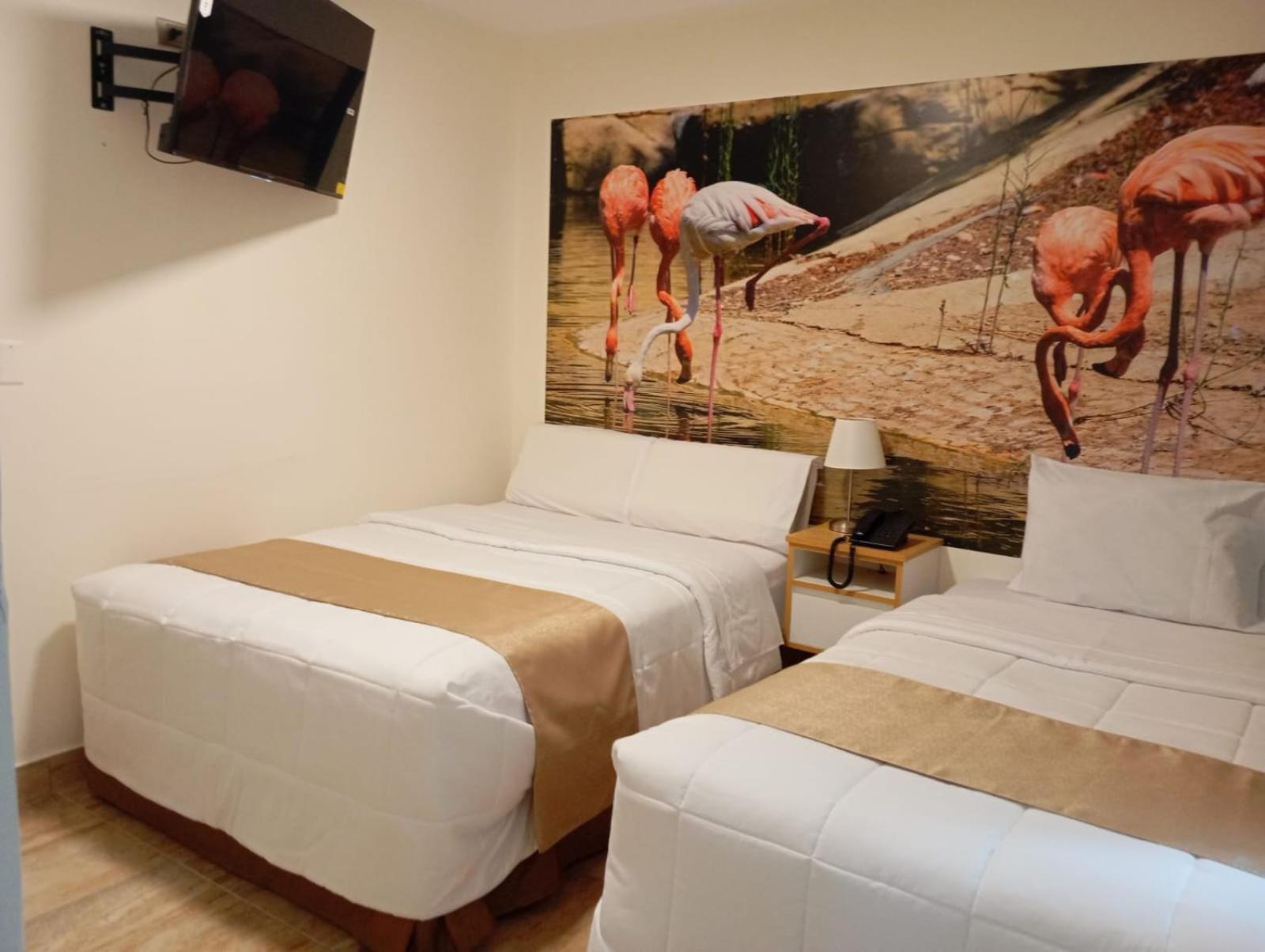 Soul Mate Hotel Lima